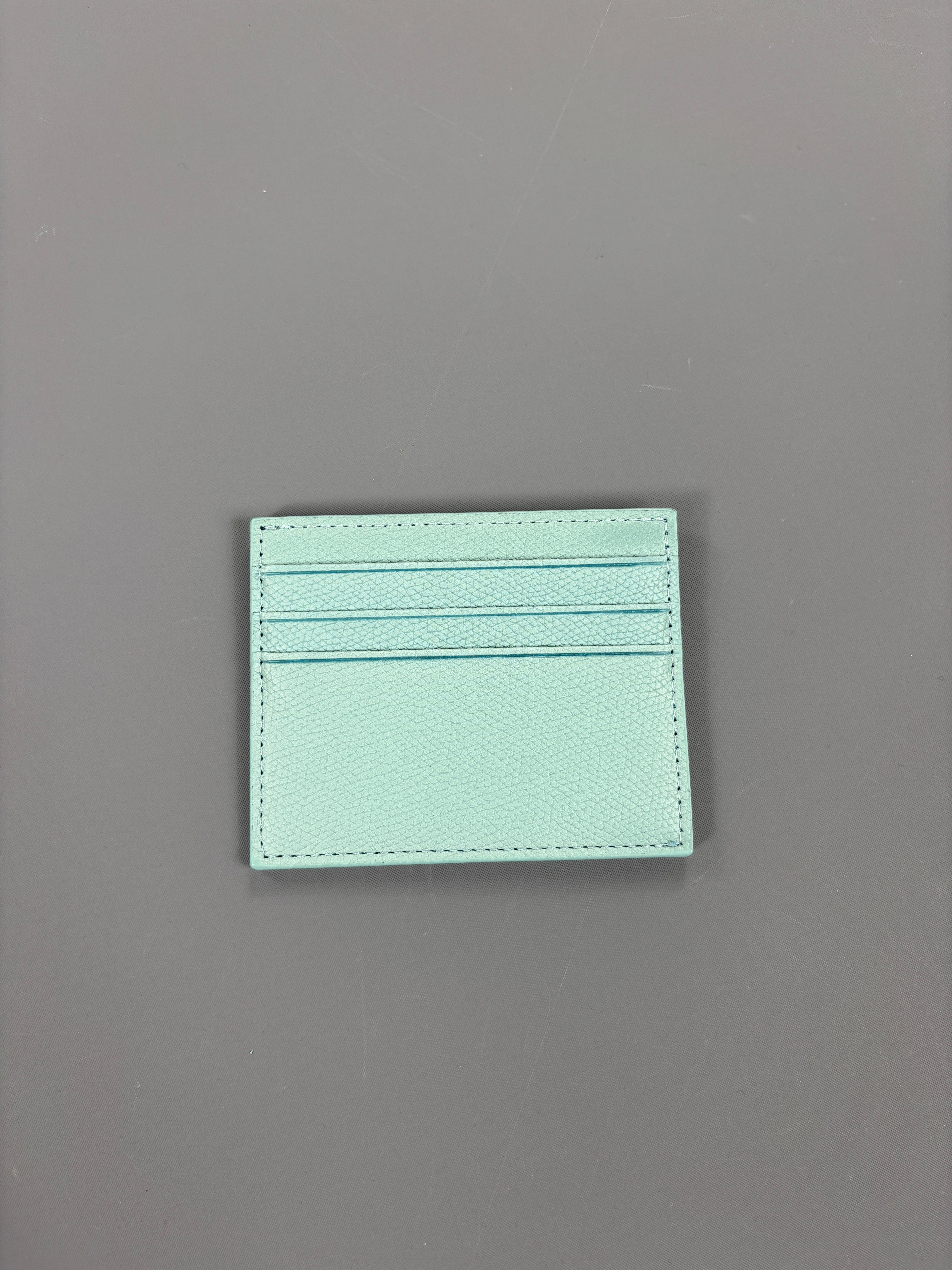 Basic Cardholder Babyblue 61season