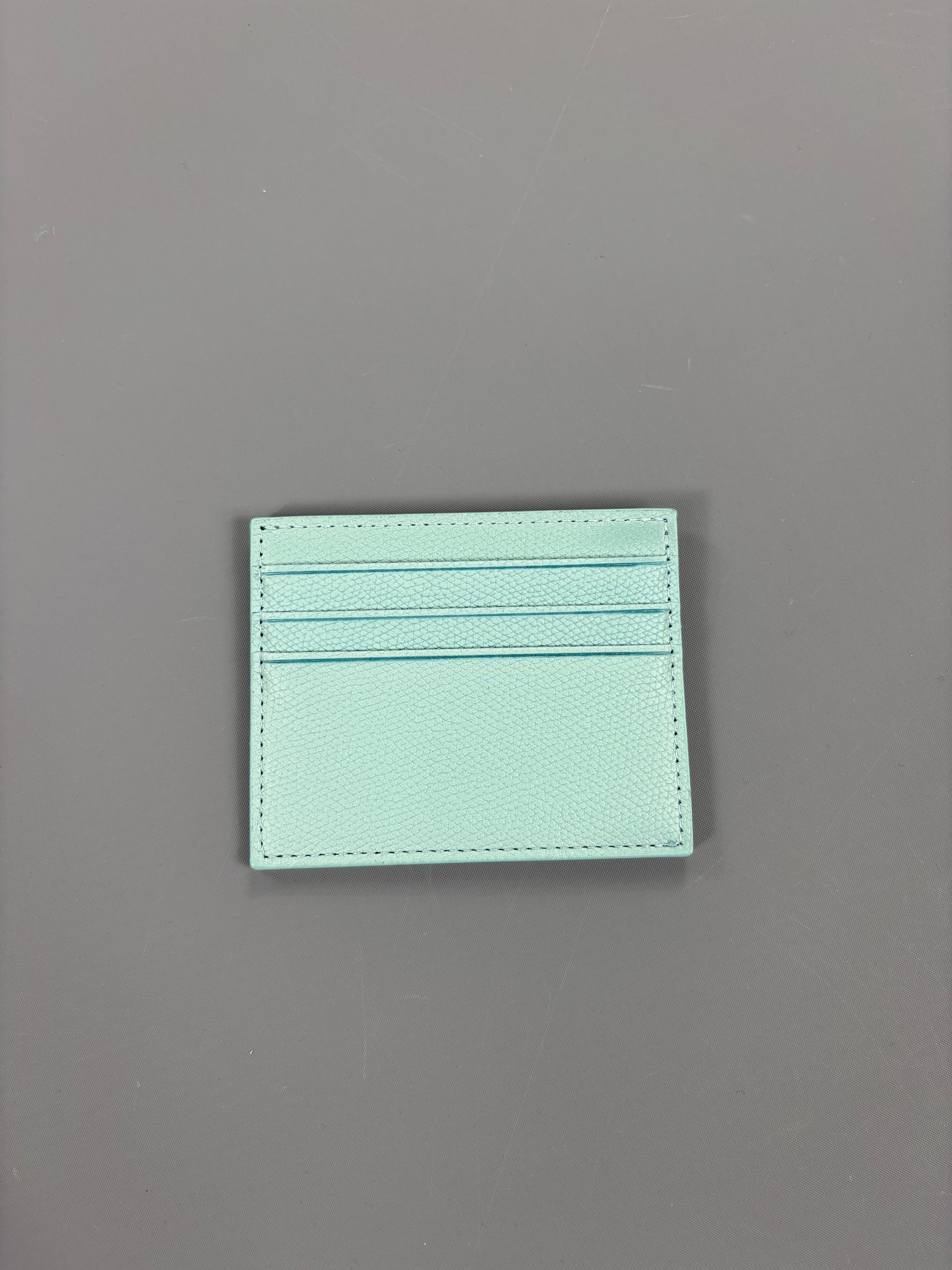 Basic Cardholder Babyblue 61season