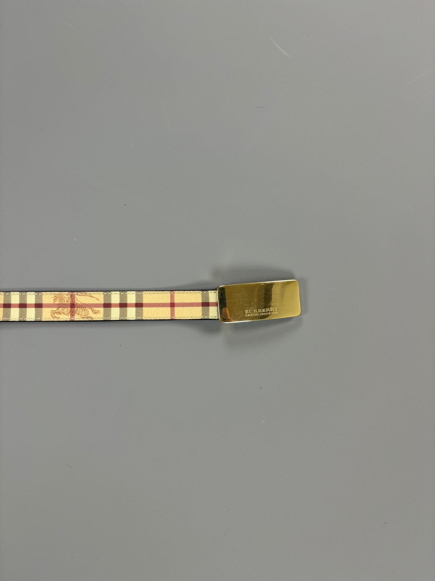 Burberry Belt (Woman)