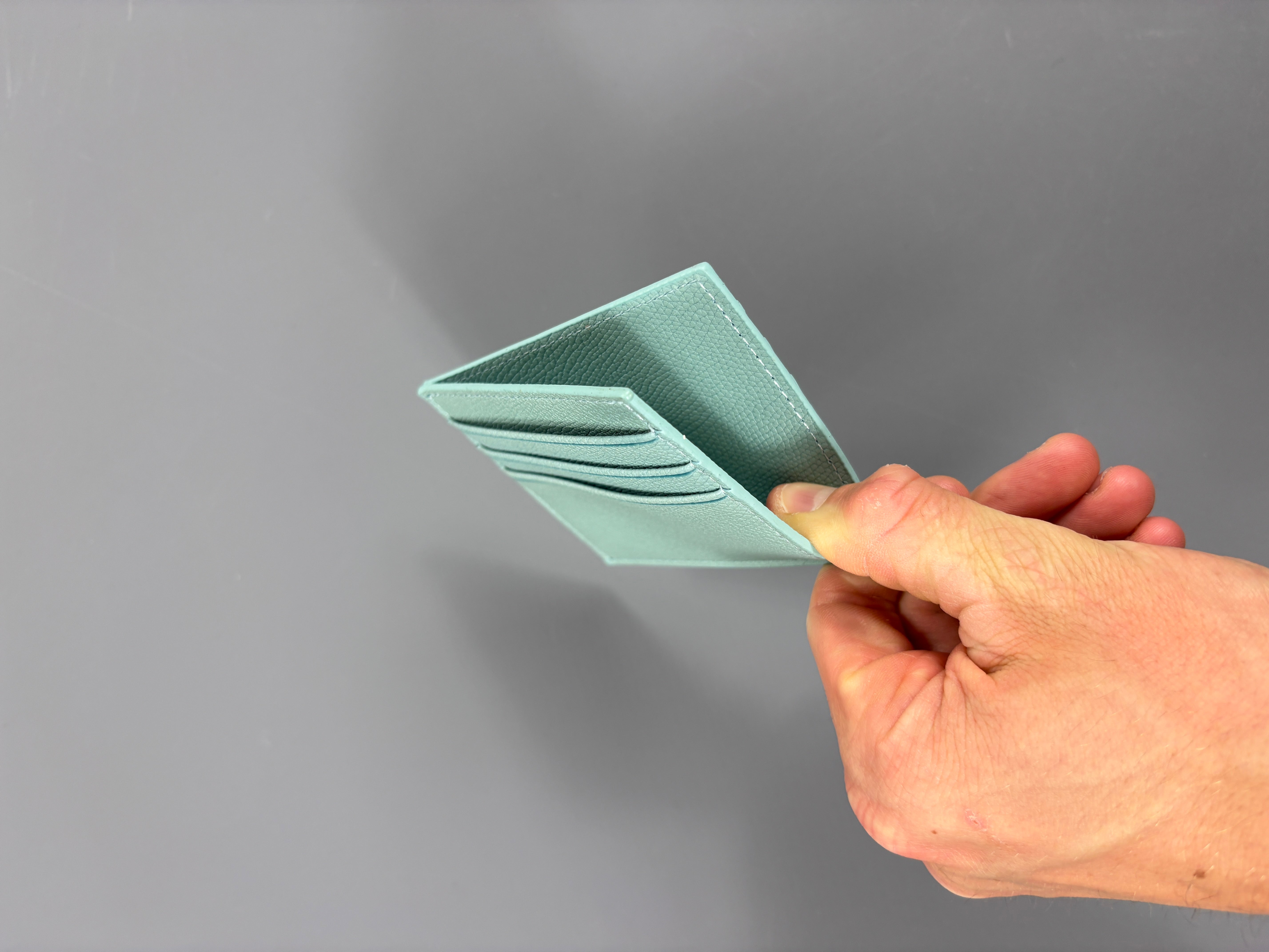 Basic Cardholder Babyblue 61season